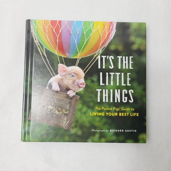 ⭐️ 7 books: Paul bunyan;chicken little;black beauty; ugly duckling;goldilocks ⭐️ - Picture 9 of 10